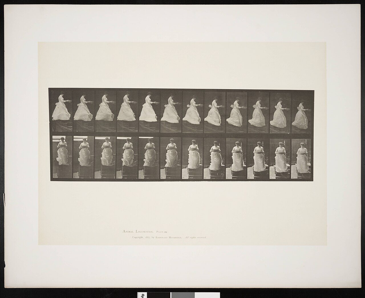 Woman descending stairs holding a basin in her hands (rbm-QP301M8-1887-134)